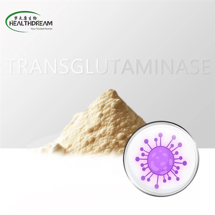 Transglutaminase (Enzim TG)